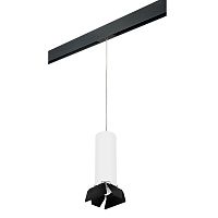 Комплект с трековым светильником Lightstar Rullo (216496+595887+202487) PRORP6496487