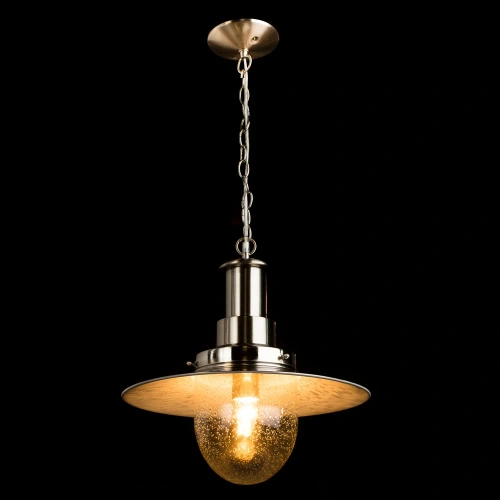 Подвесной светильник Arte Lamp FISHERMAN A5540SP-1SS фото 2