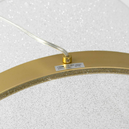 Подвесной светодиодный светильник Lussole Bradford LSP-7159 фото 2