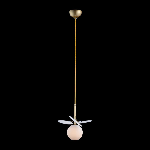 10008/1P white Подвесной светильник LOFT IT Matisse фото 4 10008/1P white Подвесной светильник LOFT IT Matisse фото 4