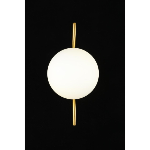 Светильник настенный (Бра) APL.312.11.01 фото 9 Светильник настенный (Бра) APL.312.11.01 фото 9