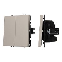 Механизм выключателя двухклавишный перекрёстный SWT-NOBE-MKX2-SFPL-CA (230V, 10A) Arlight 061791