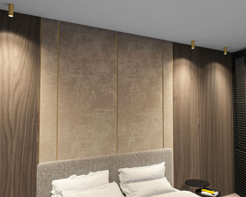 DK2051-SG Накладной светильник, IP 20, 15 Вт, GU10, матовое золото, алюминий фото 2