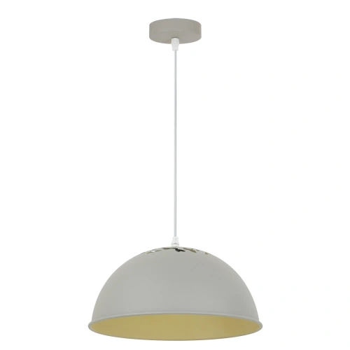 Подвесной светильник Arte Lamp BURATTO A8173SP-1GY Подвесной светильник Arte Lamp BURATTO A8173SP-1GY