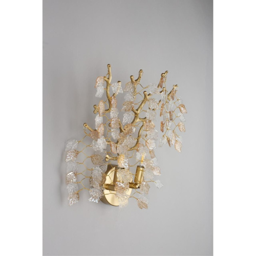 Светильник настенный (Бра) OML-52801-02 фото 5