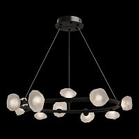 Подвесная люстра Pleiade Black FL1224-10P