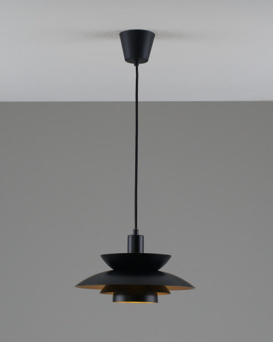 Светильник подвесной Moderli V11303-1P Shaggy фото 4