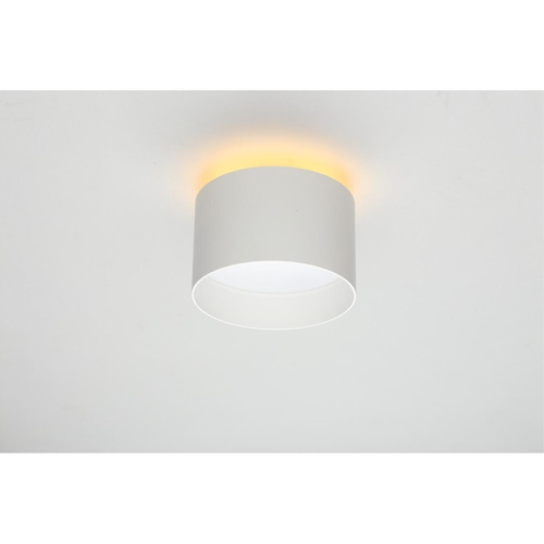 Светильник настенно-потолочный OML-100419-16 фото 5