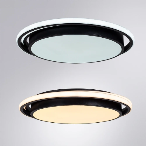 Потолочный светильник Arte Lamp SONNY A2688PL-1BK фото 3