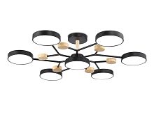 Люстра на штанге Ambrella light COMFORT FL4866