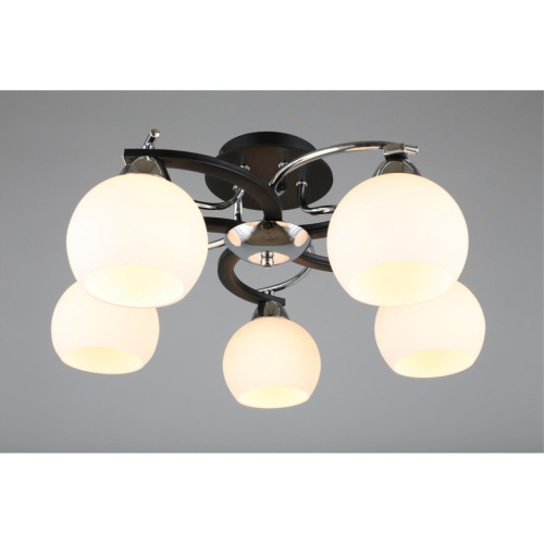 Люстра потолочная OML-25407-05 фото 4