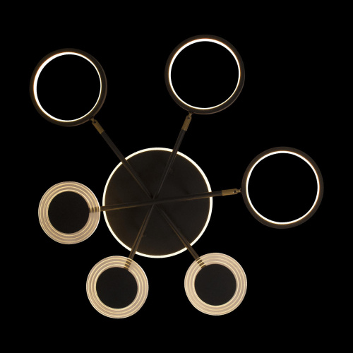 10164S Black Потолочный светильник LOFT IT Megan фото 4