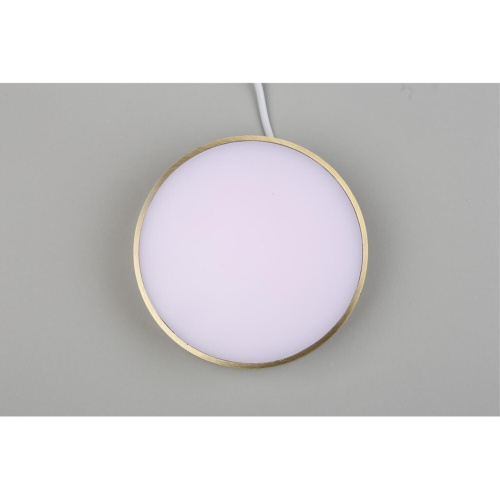 Светильник настенно-потолочный APL.0114.29.18 фото 7