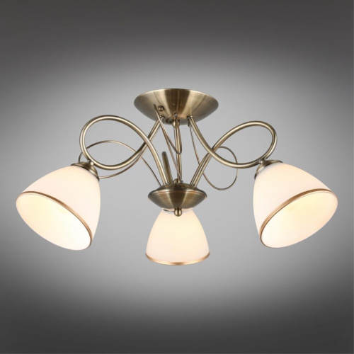 Люстра потолочная OML-25307-03 фото 3 Люстра потолочная OML-25307-03 фото 3