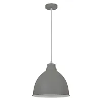 Подвесной светильник Arte Lamp BRACCIO A2055SP-1GY
