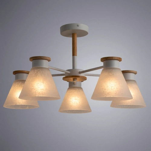 Потолочная люстра Arte Lamp TYLER A1031PL-5WH фото 2 Потолочная люстра Arte Lamp TYLER A1031PL-5WH фото 2