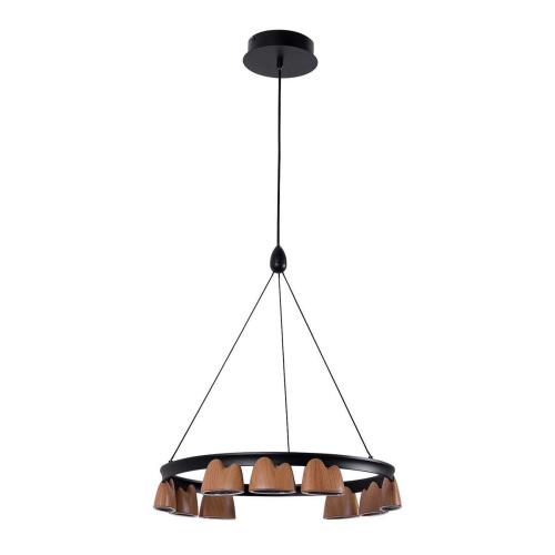 Подвесная светодиодная люстра Favourite Interline 4266-9P Подвесная светодиодная люстра Favourite Interline 4266-9P