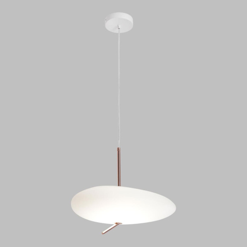 Подвесной светильник Lussole LSP-7528 Подвесной светильник Lussole LSP-7528