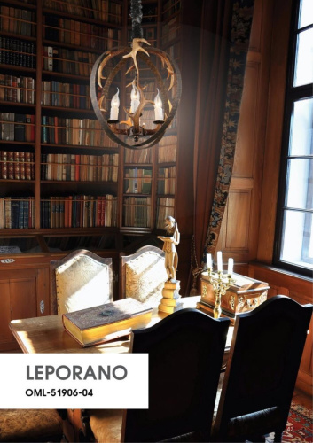 Светильник подвесной OML-51906-04 фото 2