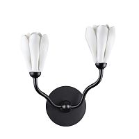 5090/2W MODERN ODL25 553 черный матовый/белый/фарфор Бра G4 LED 2*5W GARDI