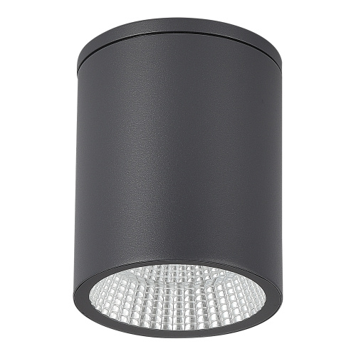 SL9514.712.01 Светильник уличный потолочный ST-Luce серый/белый LED 1*12W 3000K/4000K/6500K TUBO фото 3