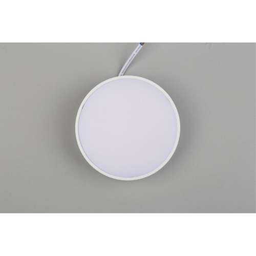 Светильник настенно-потолочный APL.0114.09.12 фото 7