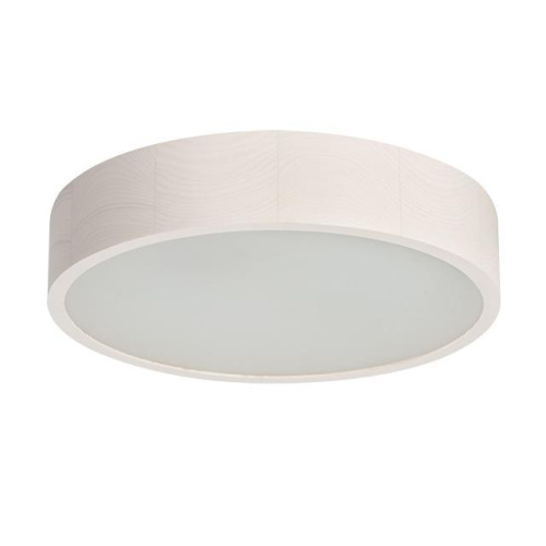 Настенный потолочный светильник Kanlux JASMIN 370-W 23124 Настенный потолочный светильник Kanlux JASMIN 370-W 23124