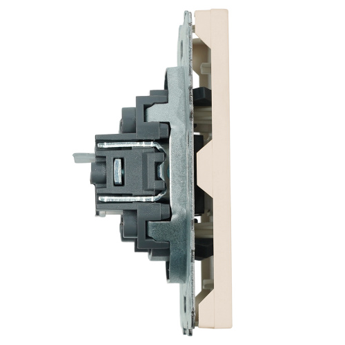 Розетка компьютерная 1-местная RJ-45 (механизм), серия Эмили, RST00-5117-08, кашемир, soft touch фото 4