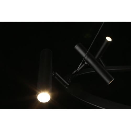 Люстра подвесная APL.067.03.50 фото 4