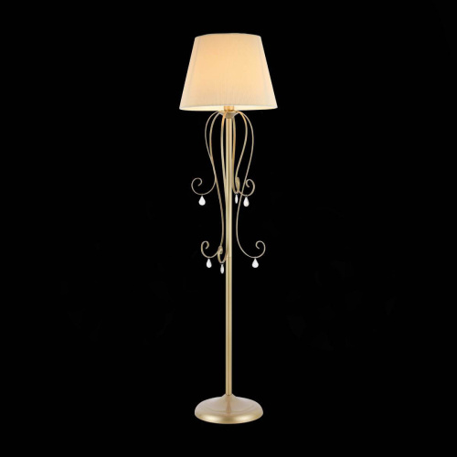 Торшер Evoluce Azzurro SL177.205.01 фото 3 Торшер Evoluce Azzurro SL177.205.01 фото 3