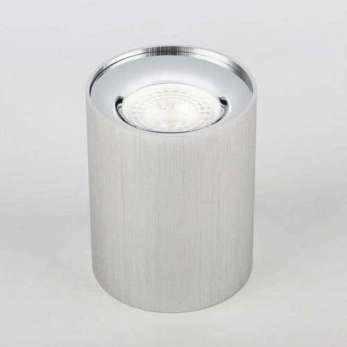 Потолочный светильник ЭРА OL1 GU10 SL/CH Б0041504 фото 2 Потолочный светильник ЭРА OL1 GU10 SL/CH Б0041504 фото 2