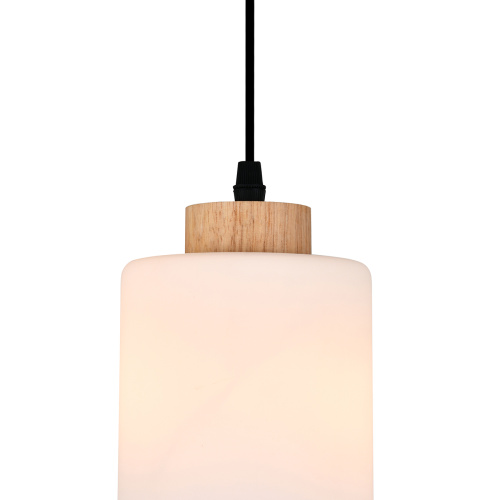 Подвесной светильник 160002/B/1P E27*60W Black фото 3