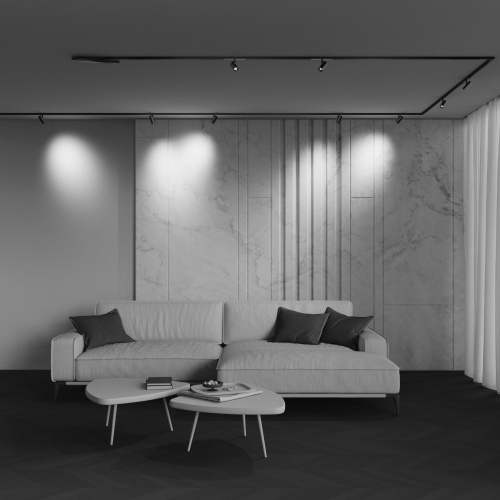 Трековый светильник Technical TR243-4-5WTW-DSZ-B фото 6 Трековый светильник Technical TR243-4-5WTW-DSZ-B фото 6