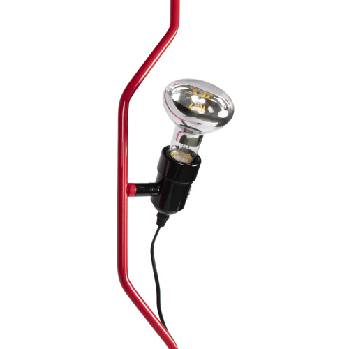 10346/1 Red Подвесной светильник LOFT IT Parentesi фото 5