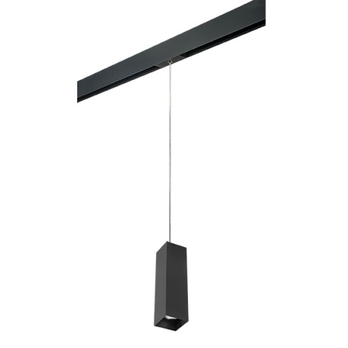 PRORP6597 Светильник д/1-фазн трека RULLO HP16 (216597+595987) PRORP6597 Светильник д/1-фазн трека RULLO HP16 (216597+595987)