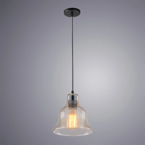 Подвесной светильник Arte Lamp AMIATA A4255SP-1AM фото 2