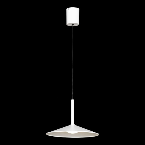 Подвесной светильник Lussole REFUGIO LSP-7432