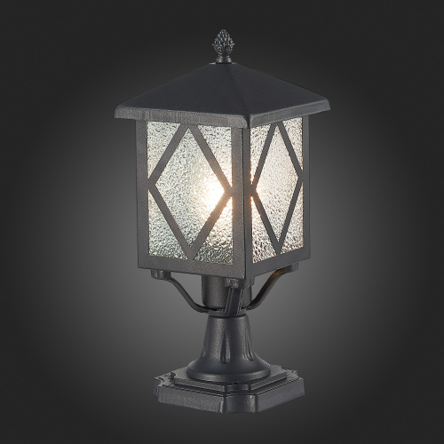 SL084.405.01 Светильник уличный наземный ST-Luce Черный/Черный, Прозрачный E27 1*60W LORNE фото 3