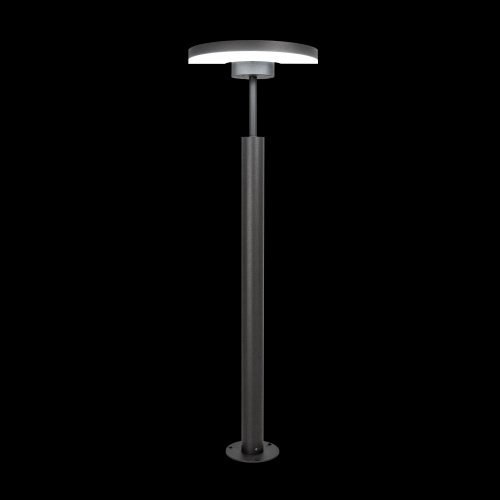 Citilux GARDA CLU03B1 LED Уличный парковый светильник поворотный Графит фото 2 Citilux GARDA CLU03B1 LED Уличный парковый светильник поворотный Графит фото 2