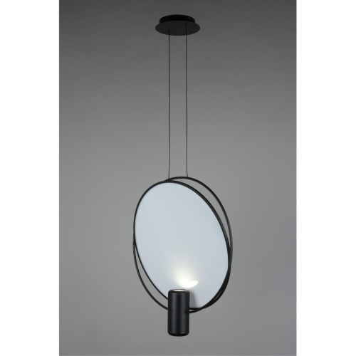 Светильник подвесной OML-29806-02 фото 5