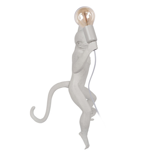 10314W/A Настенный светильник LOFT IT Monkey фото 3