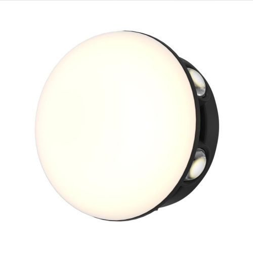 Уличный настенный светильник Favourite Option 4853-1W