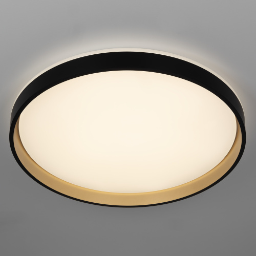 Citilux ENZO CL753511G LED RGB Светильник с пультом Черный + Золото фото 3 Citilux ENZO CL753511G LED RGB Светильник с пультом Черный + Золото фото 3