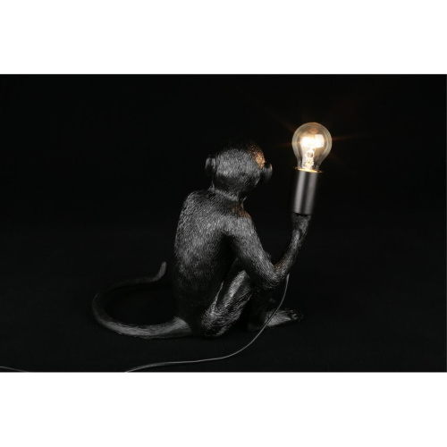 Настольная лампа APL.309.24.01 фото 8 Настольная лампа APL.309.24.01 фото 8