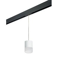 Комплект с трековым светильником Lightstar Rullo (213486+595887+202481) PRORP348681