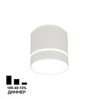 Citilux Борн CL745010N LED Светильник накладной Белый