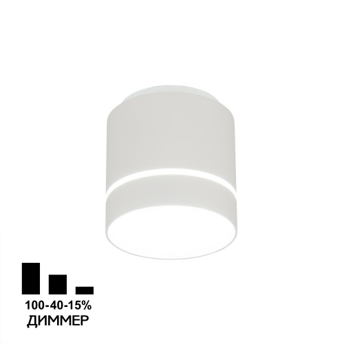 Citilux Борн CL745010N LED Светильник накладной Белый
