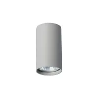 Точечный накладной светильник Arte Lamp UNIX A1516PL-1GY