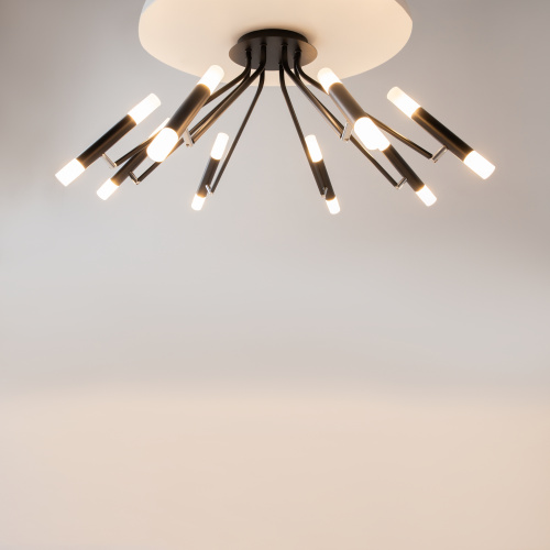 Потолочный светильник Maytoni MOD620CL-16B фото 10