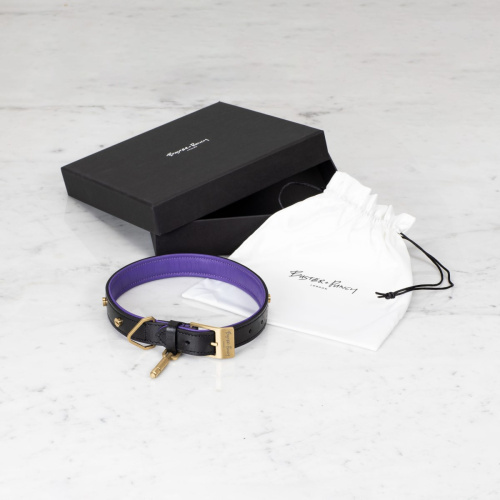 Ошейник Dog Collar Brass фото 2